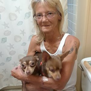 Meet your Posher, Melody